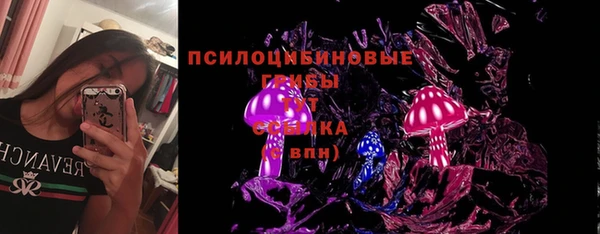 МДПВ Ладушкин