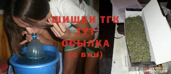сатива Кукмор