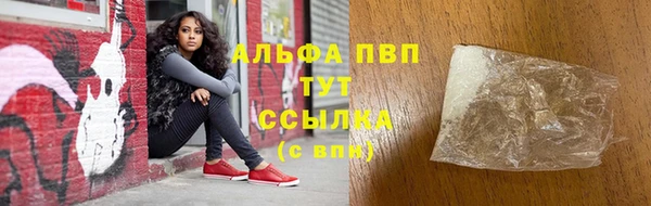 spice Магадан