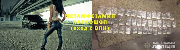 прущие грибы Кулебаки
