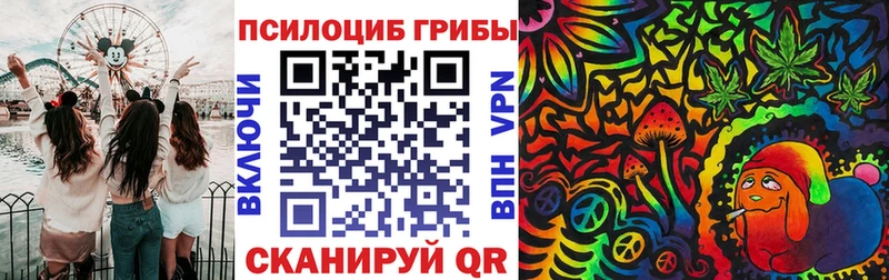 Галлюциногенные грибы Psilocybine cubensis  Тогучин 
