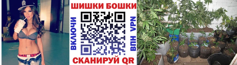 Бошки Шишки гибрид  Тогучин 